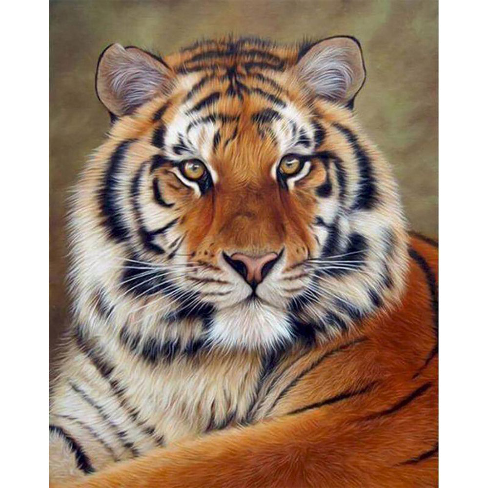Tiger-Look