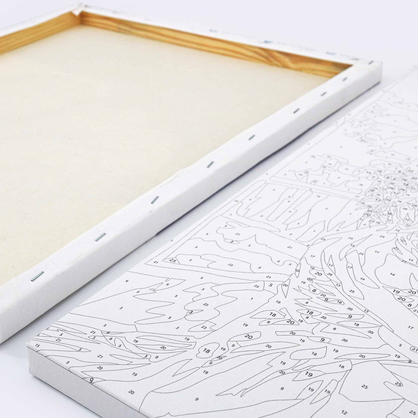 Mini Malen nach Zahlen mit Rahmen - Vogel auf dem Ast