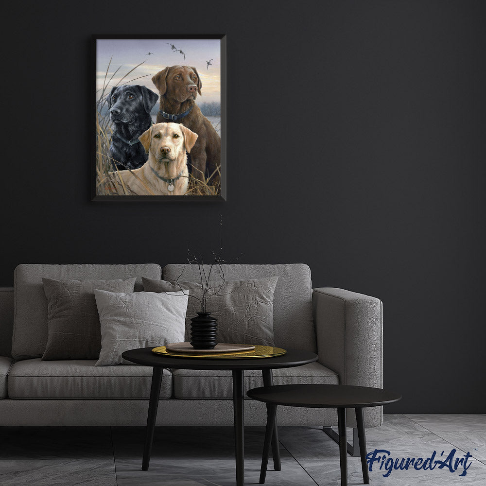 Labrador-Trio