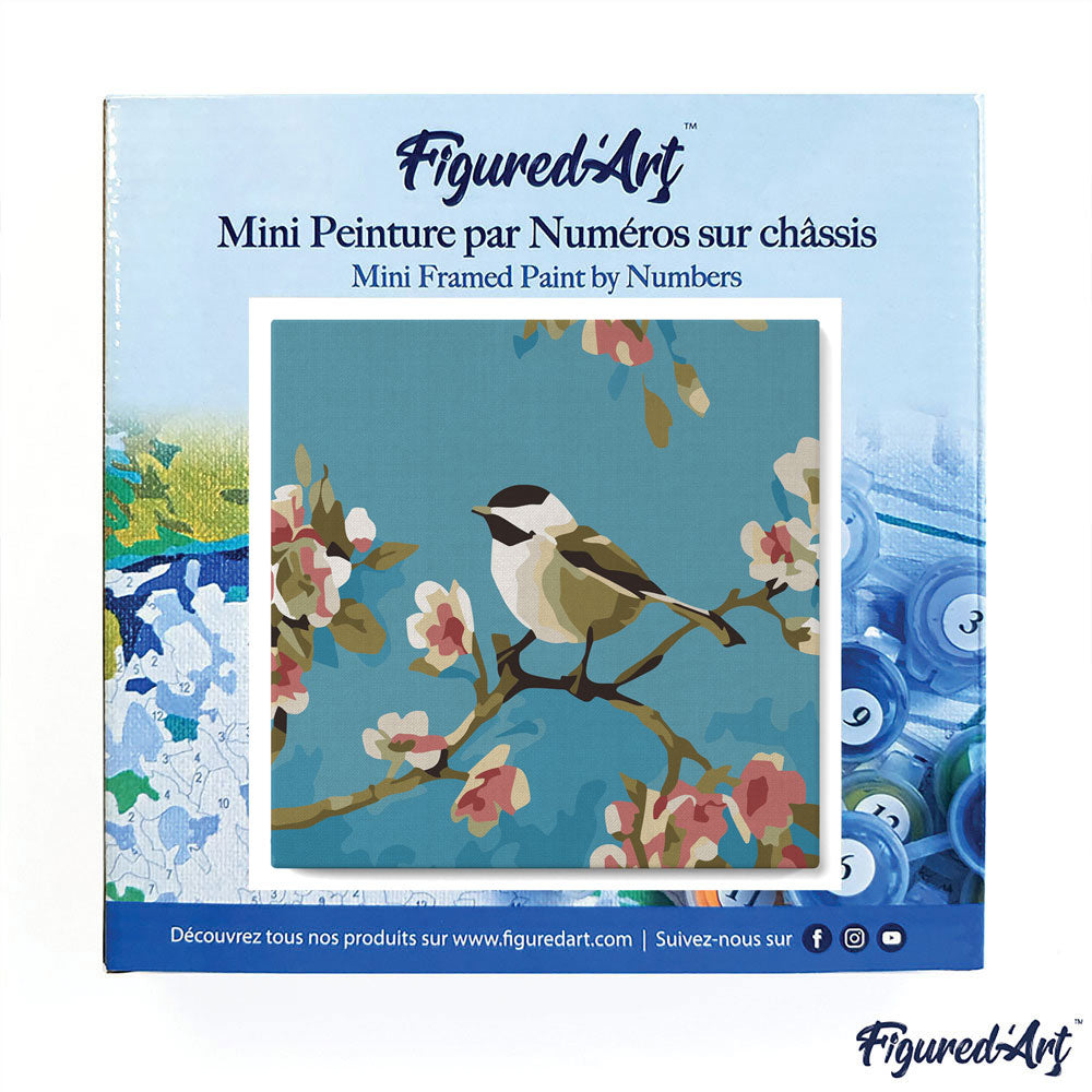 Mini-Malen nach Zahlen 8x8 gerahmt - Vögel-Gemälde