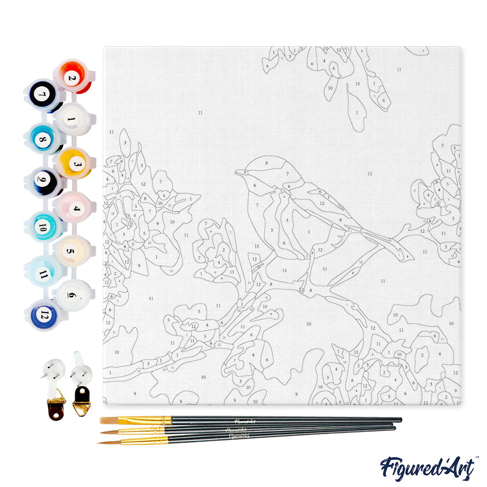 Mini-Malen nach Zahlen 8x8 gerahmt - Vögel-Gemälde