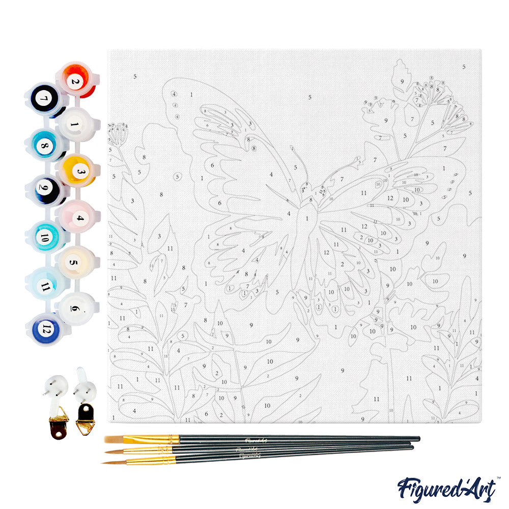 Mini-Malen nach Zahlen 8x8 gerahmt - Tropischer Schmetterling