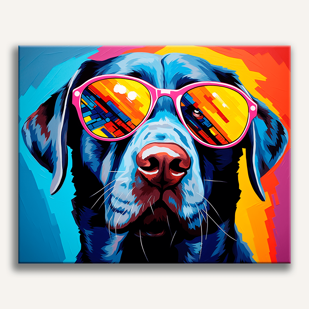 Hunde-Sonnenbrillen