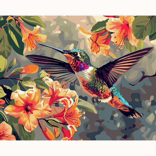 Kolibris tanzen