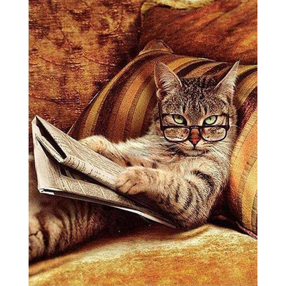 Leg dich nicht mit dieser Katze an