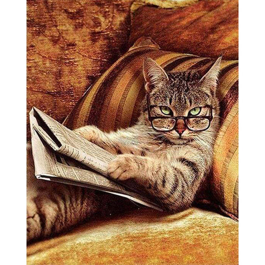 Leg dich nicht mit dieser Katze an