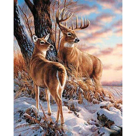 Hirsche im Winter