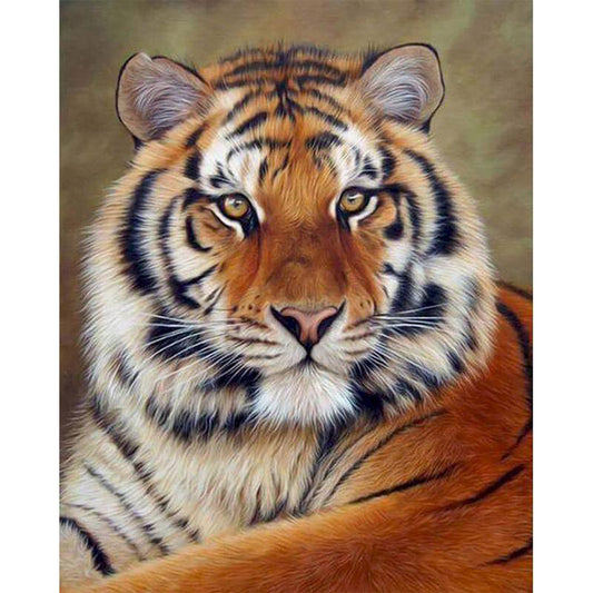 Tiger-Look