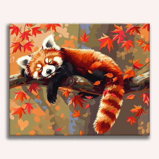Entspannter Roter Panda
