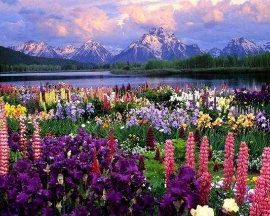 Blumen und See in der Nähe des Berges