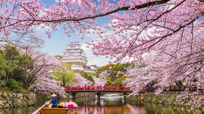 Japanische Kirschblüte auf einem Fluss