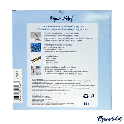 Mini Paint by numbers 8x8 framed - Abstract Woman and Daisies