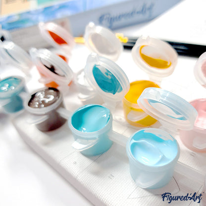 Mini Paint by numbers 8x8 framed - Beauty and Liberty